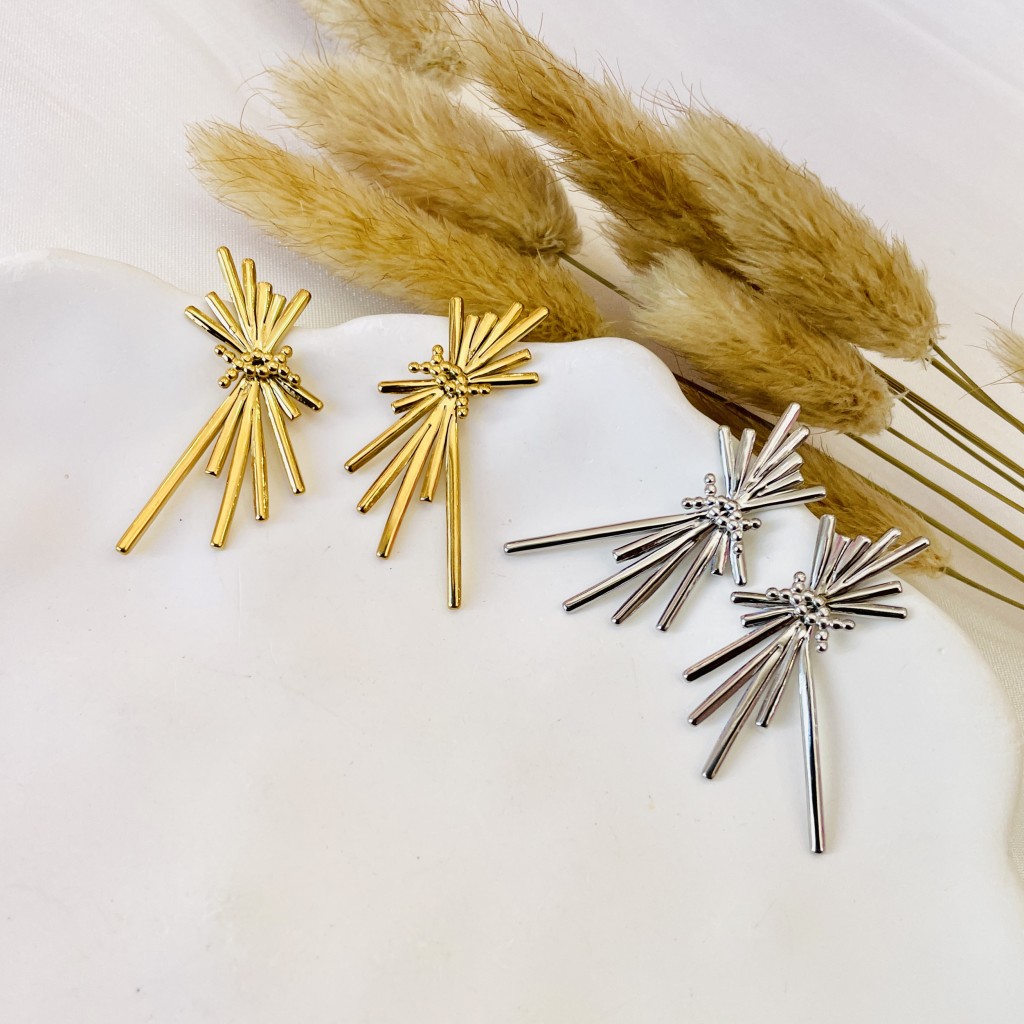 Stainless steel earrings