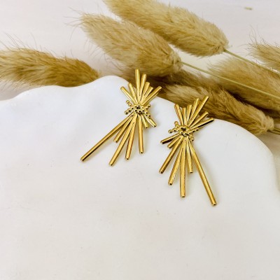 Stainless steel earrings