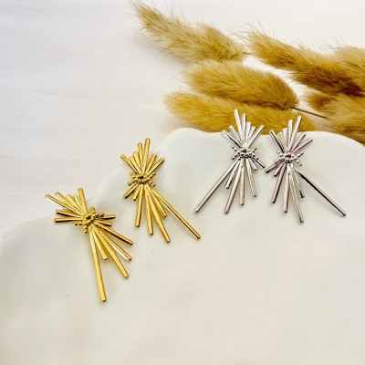 Stainless steel earrings