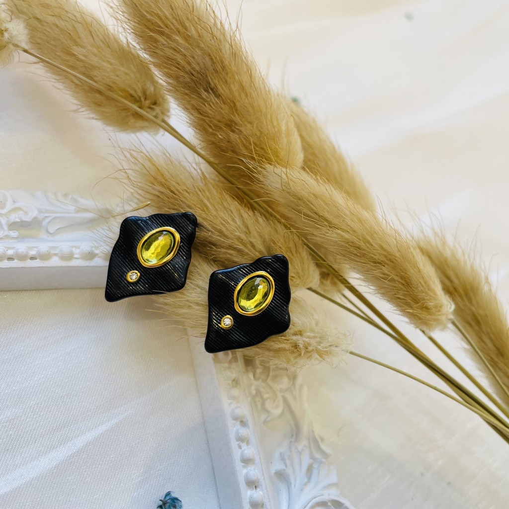 Stainless steel earrings