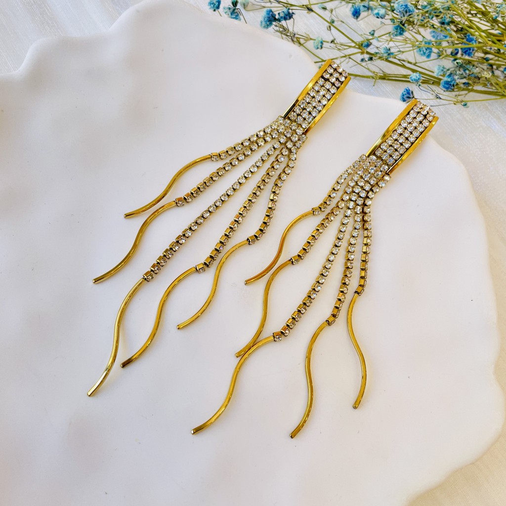 Stainless steel earrings