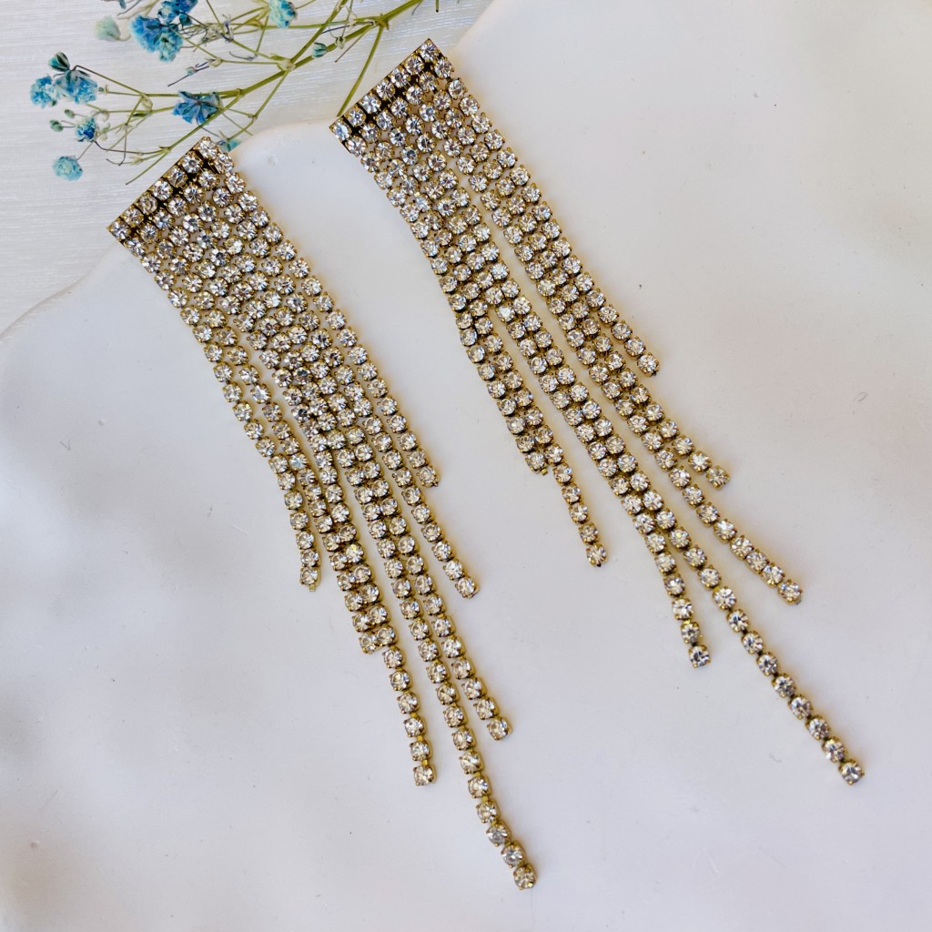 Stainless steel earrings
