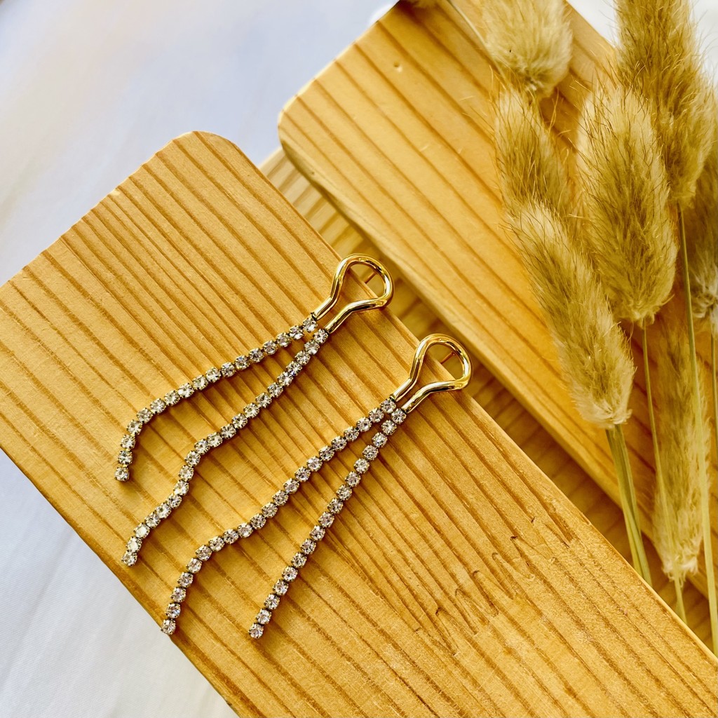 Stainless steel earrings