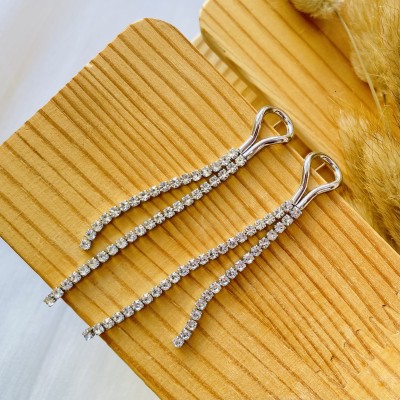 Stainless steel earrings