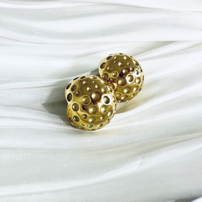 Stainless steel earrings
