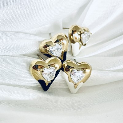 Stainless steel earrings