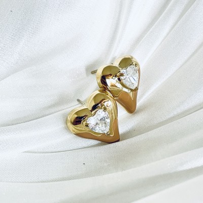 Stainless steel earrings
