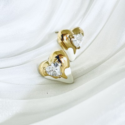 Stainless steel earrings