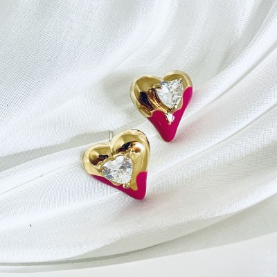 Stainless steel earrings