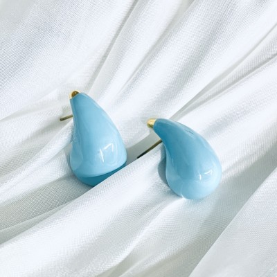 Stainless steel earrings