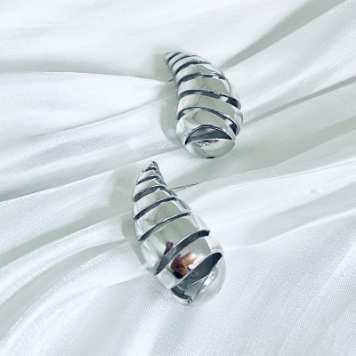 Stainless steel earrings