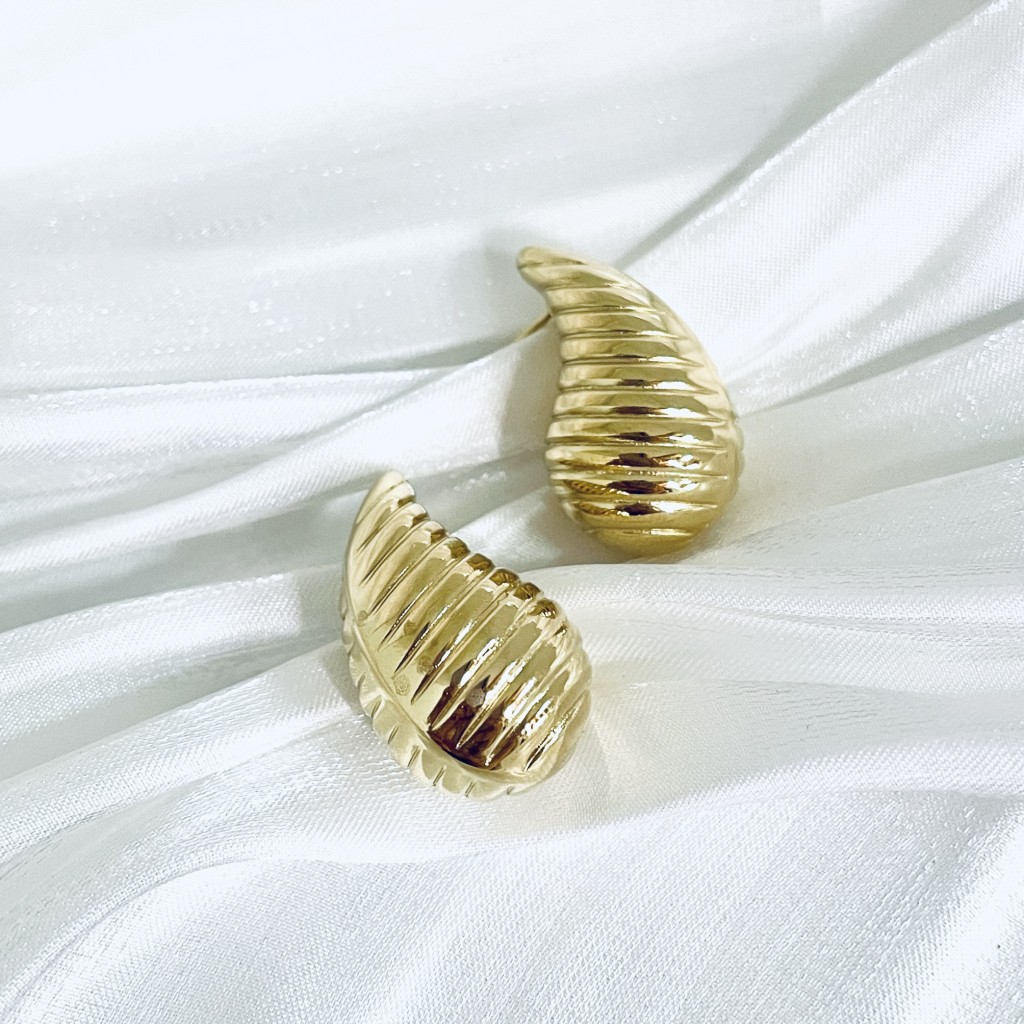 Stainless steel earrings