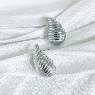 Stainless steel earrings