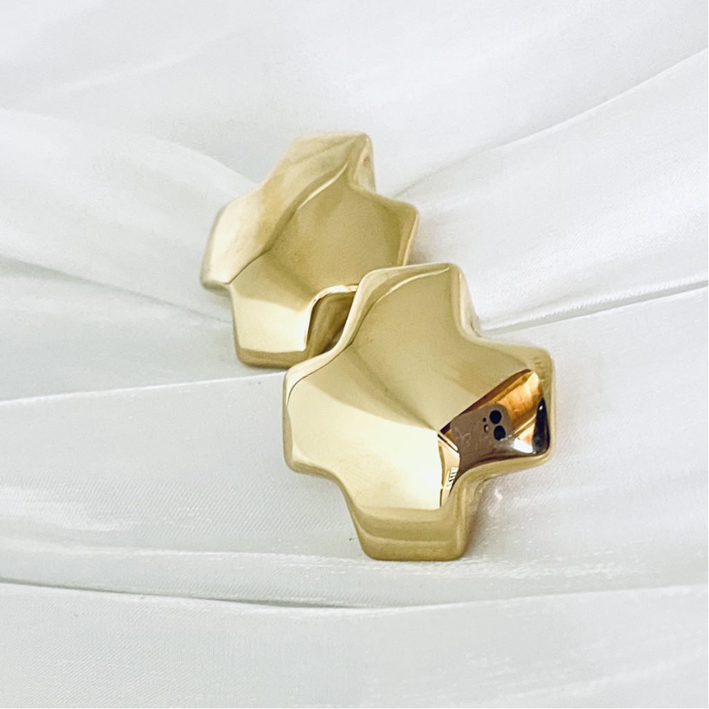 Stainless steel earrings