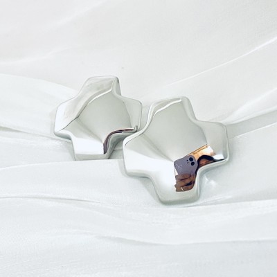 Stainless steel earrings