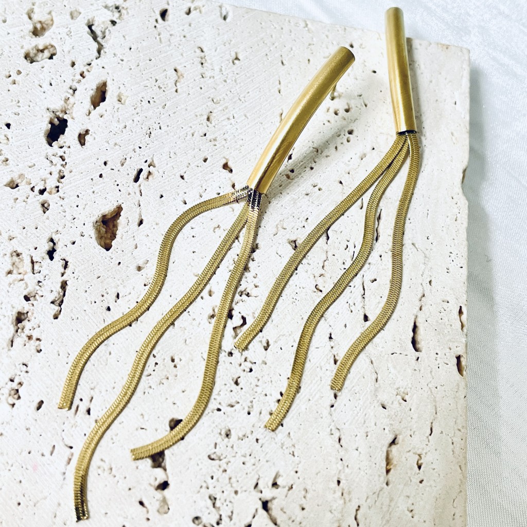 Stainless steel earrings