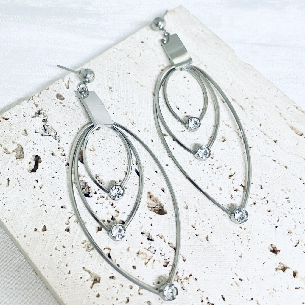 Stainless steel earrings