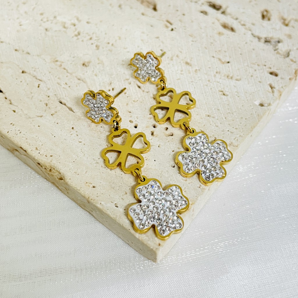Stainless steel earrings
