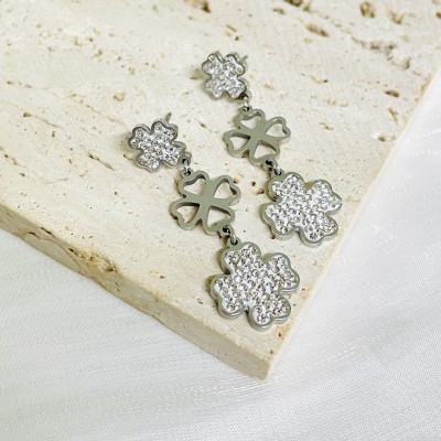 Stainless steel earrings