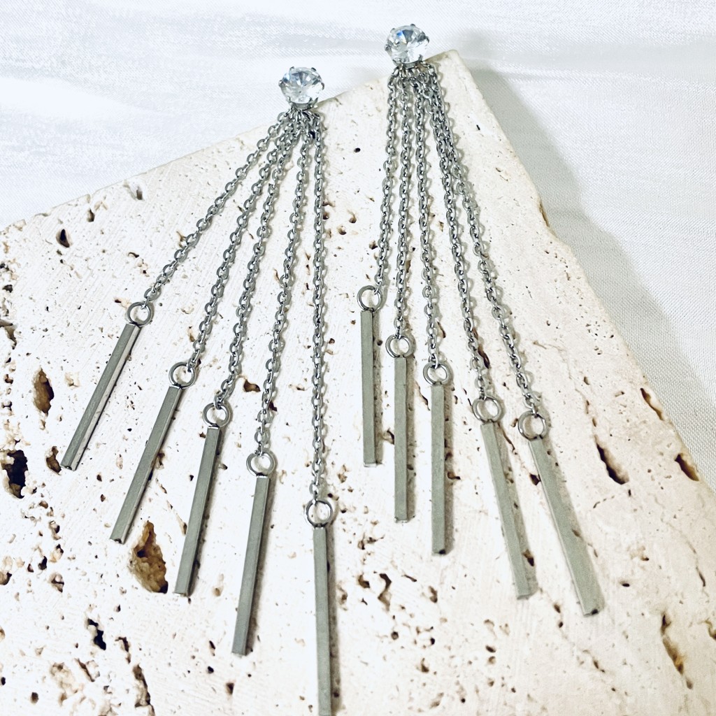 Stainless steel earrings