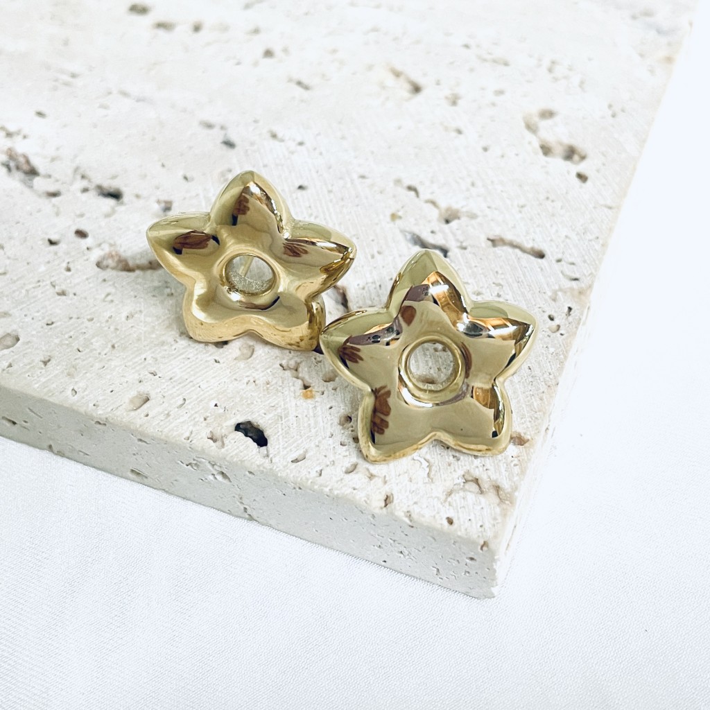 Stainless steel earrings