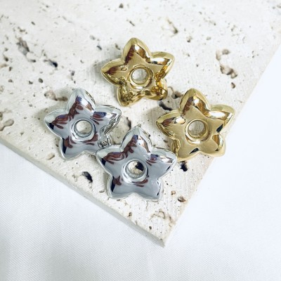 Stainless steel earrings