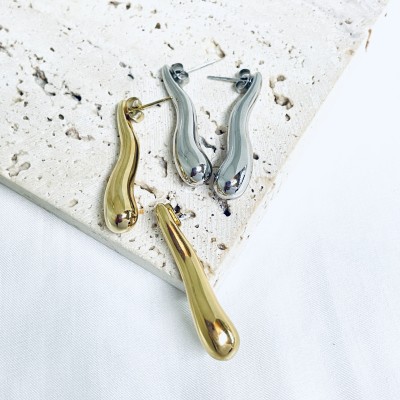 Stainless steel earrings