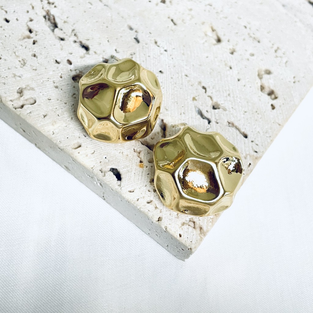 Stainless steel earrings