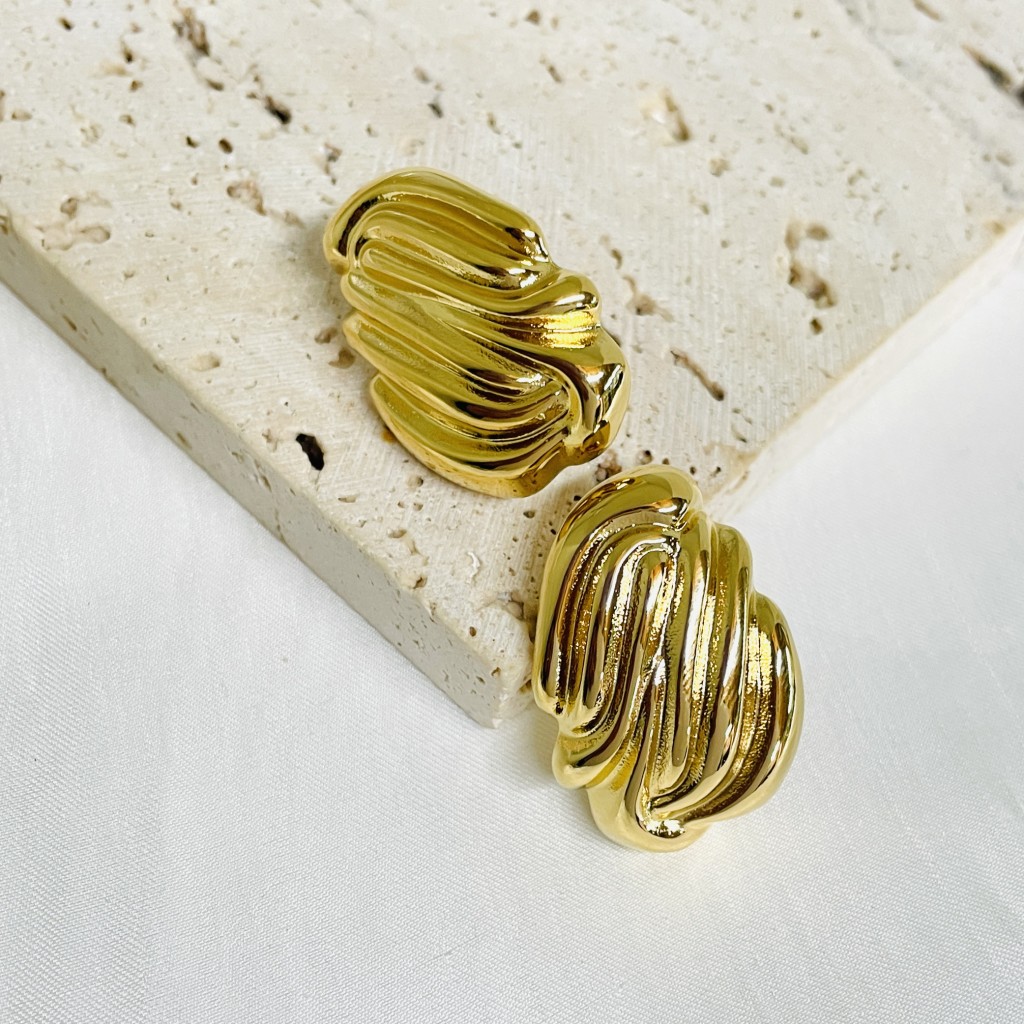 Stainless steel earrings