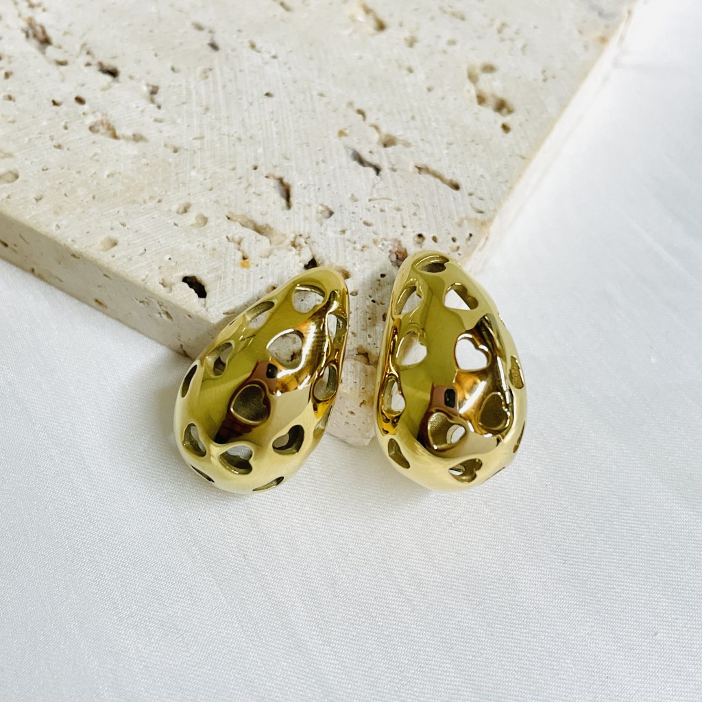 Stainless steel earrings