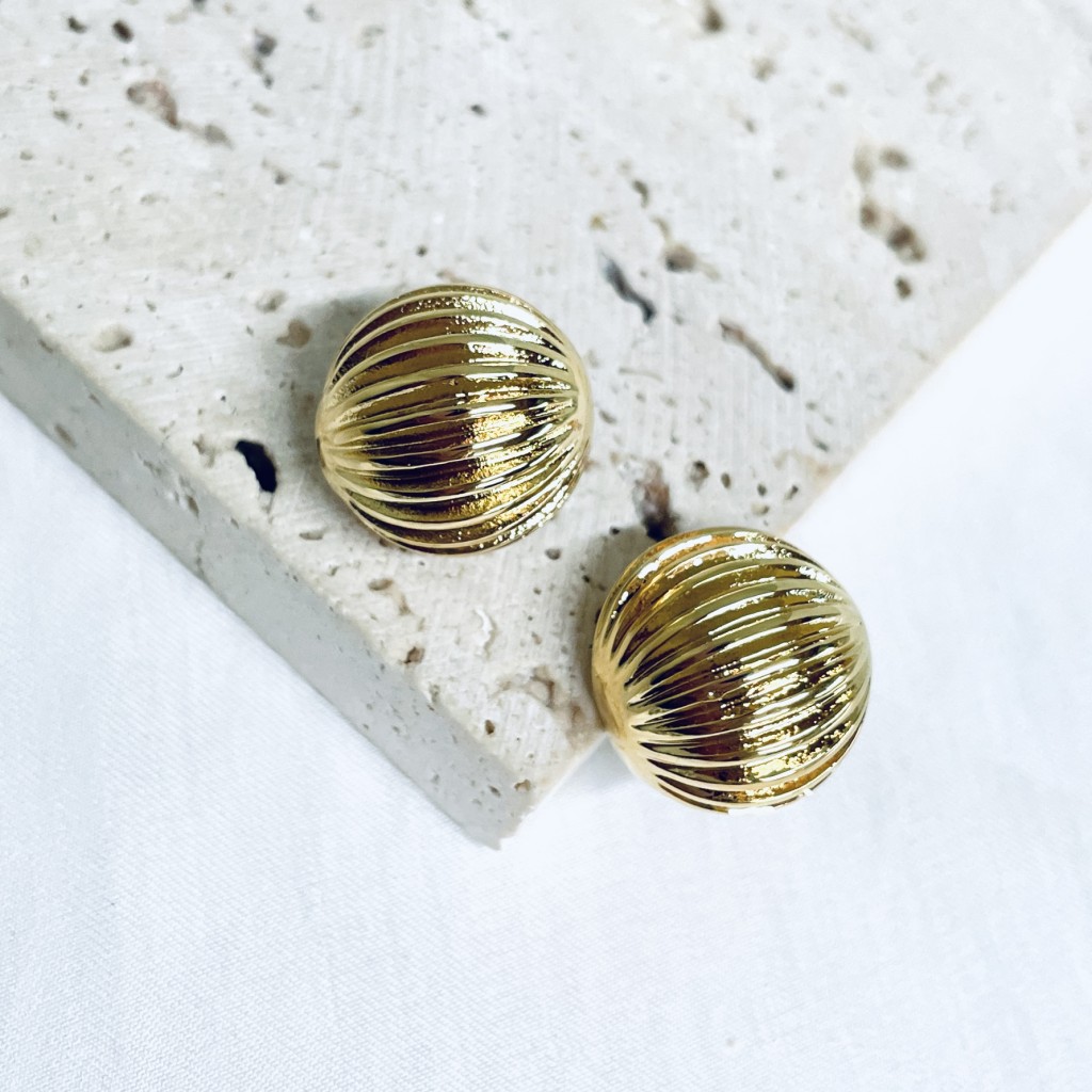 Stainless steel earrings