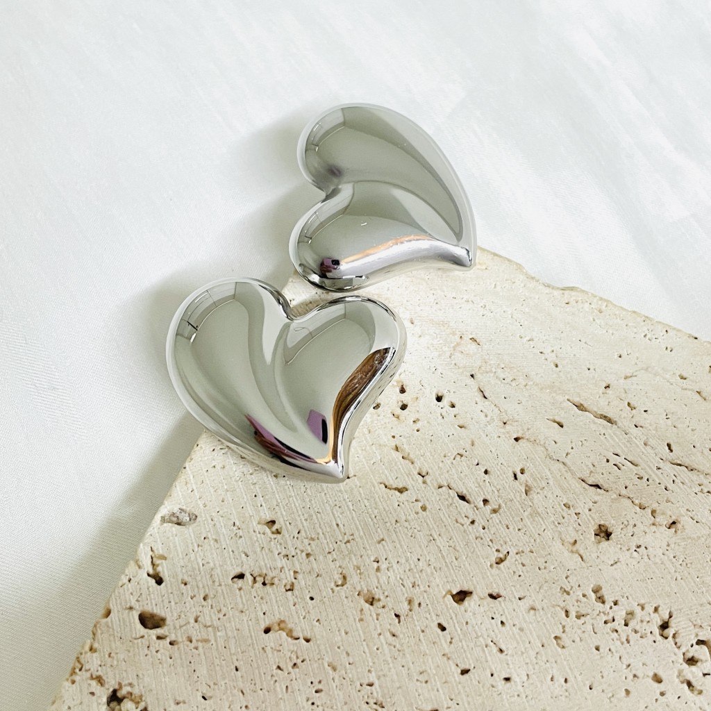 Stainless steel earrings