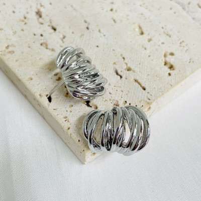 Stainless steel earrings