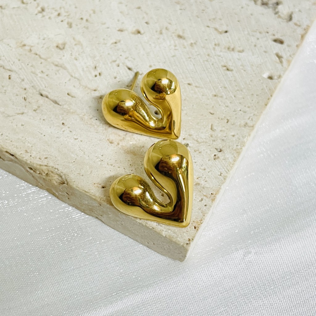 Stainless steel earrings