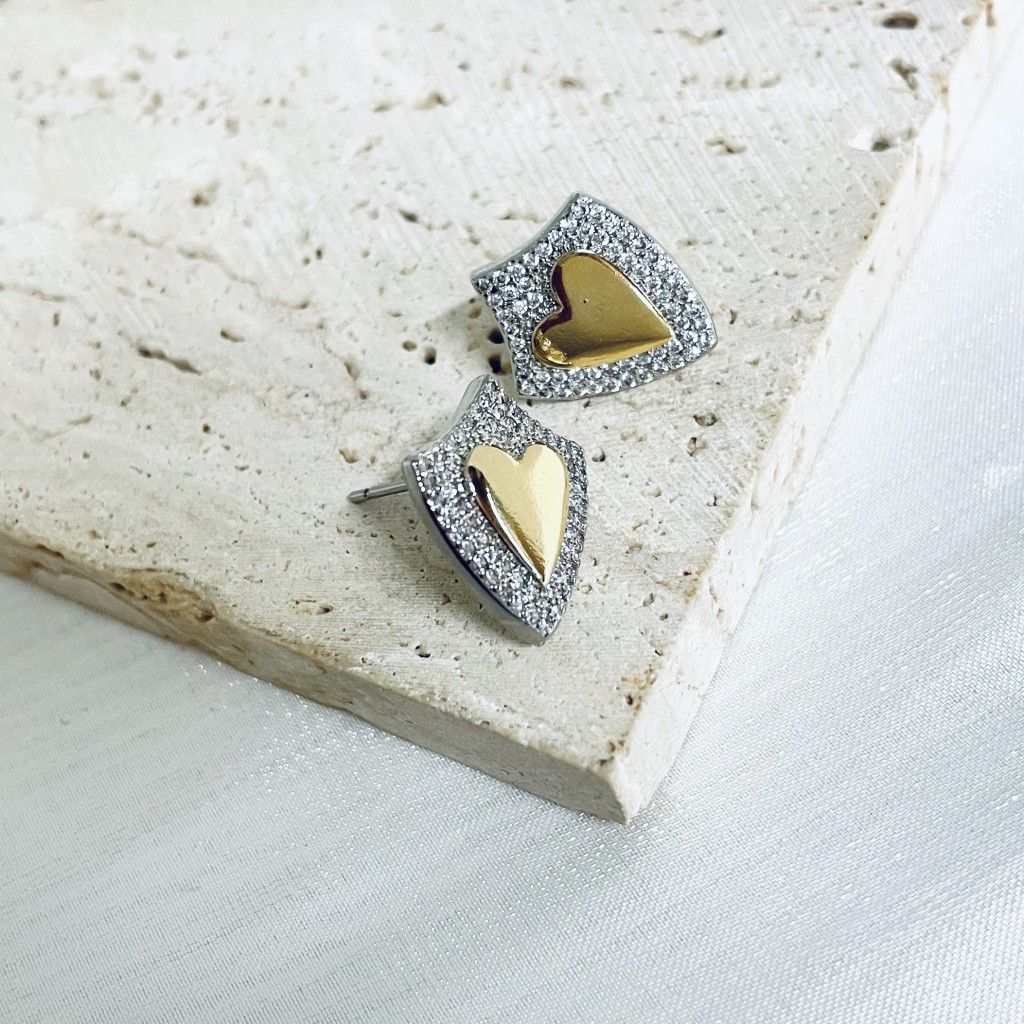 Stainless steel earrings