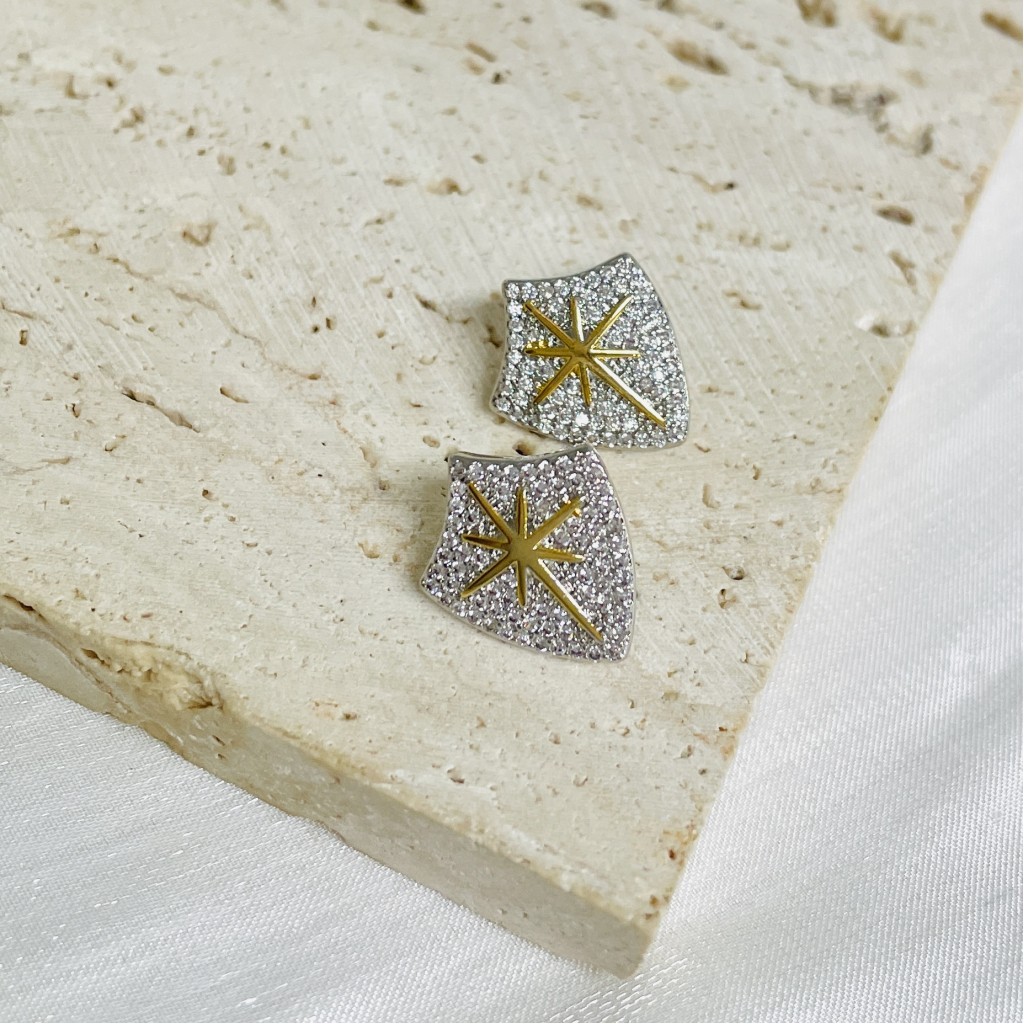 Stainless steel earrings