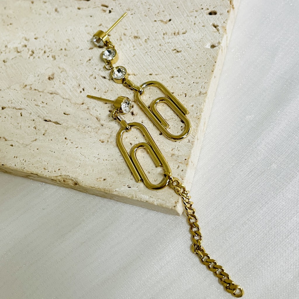 Stainless steel earrings