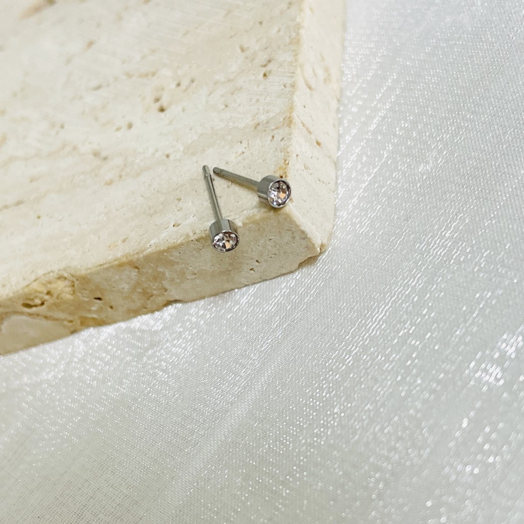 Stainless steel earrings