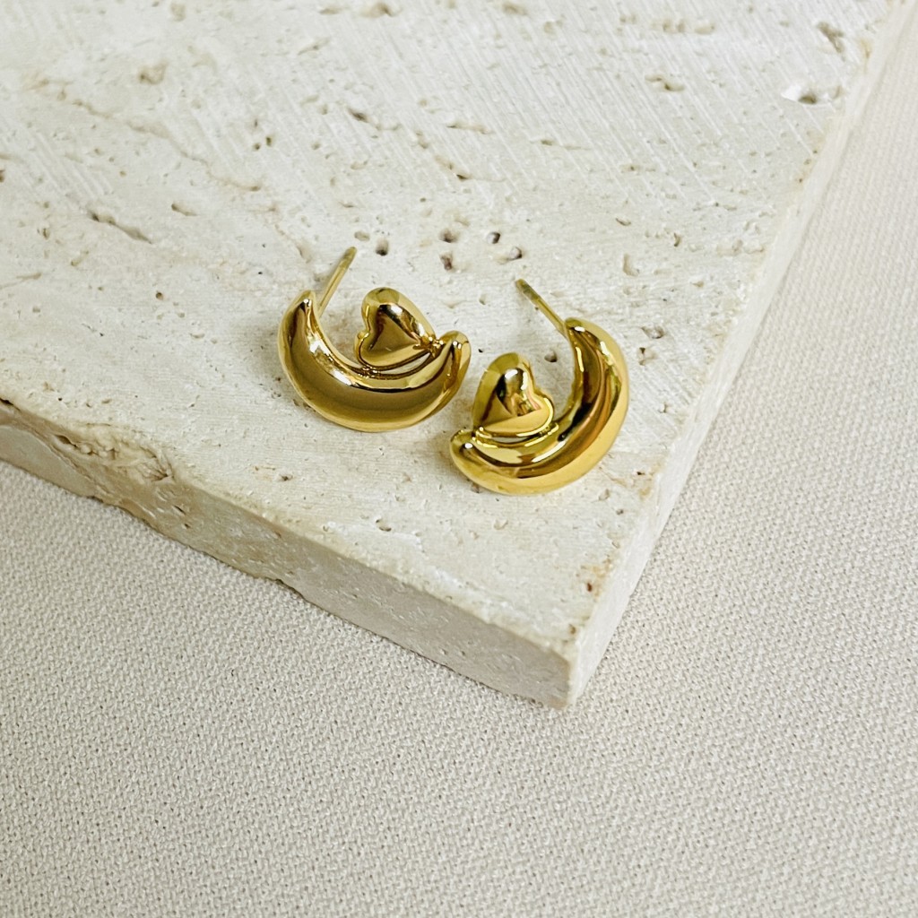 Stainless steel earrings