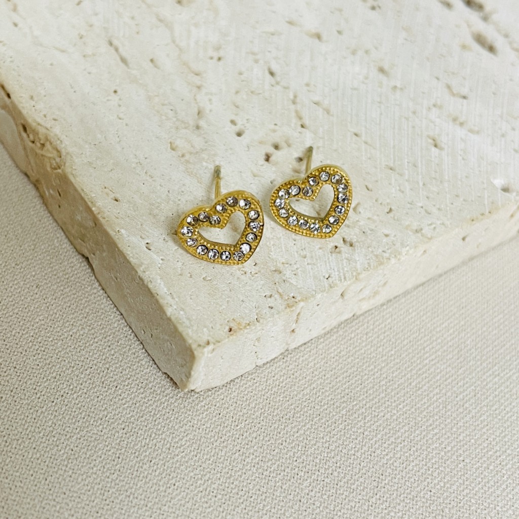 Stainless steel earrings