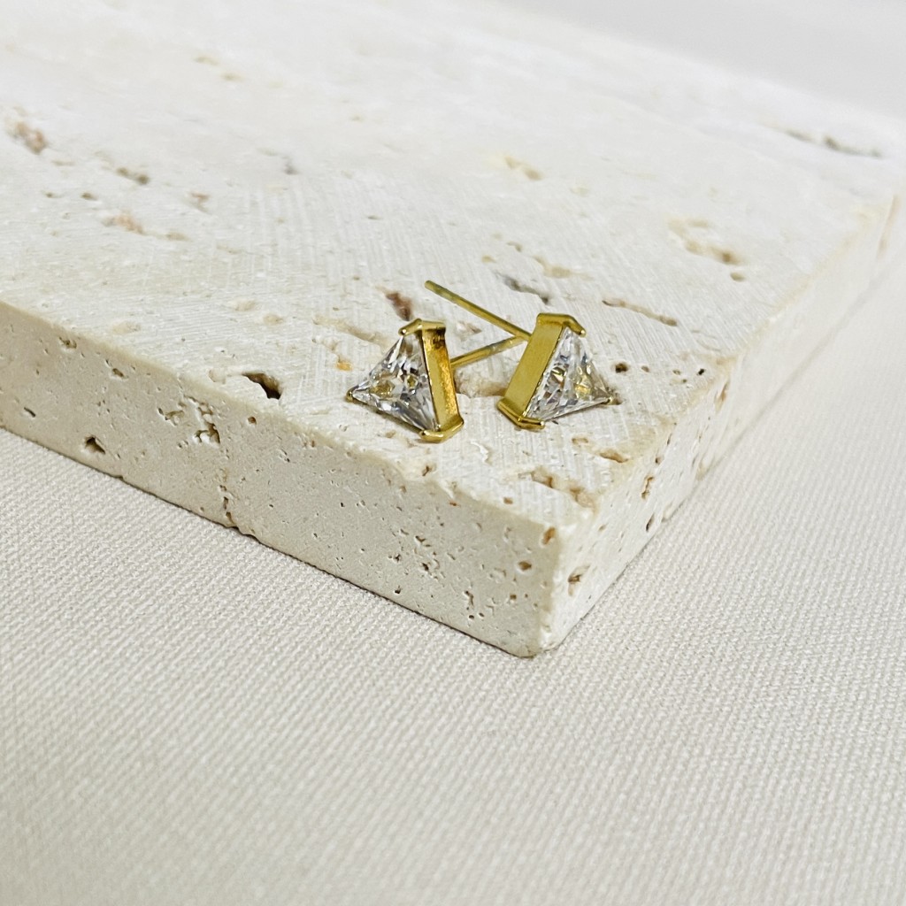 Stainless steel earrings