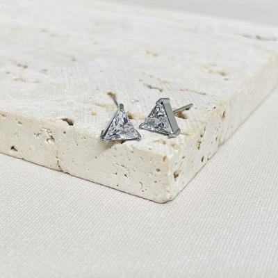 Stainless steel earrings