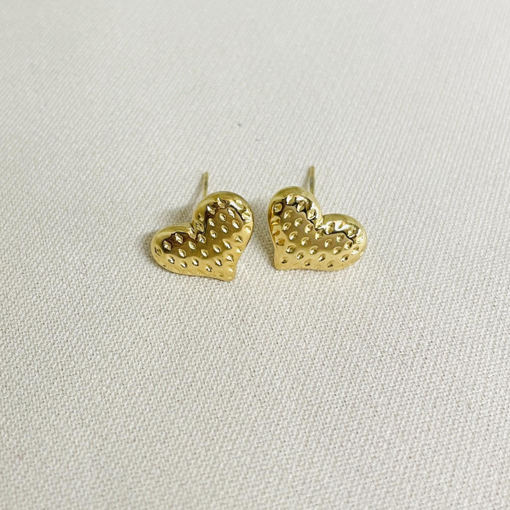 Stainless steel earrings