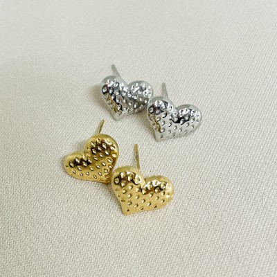 Stainless steel earrings