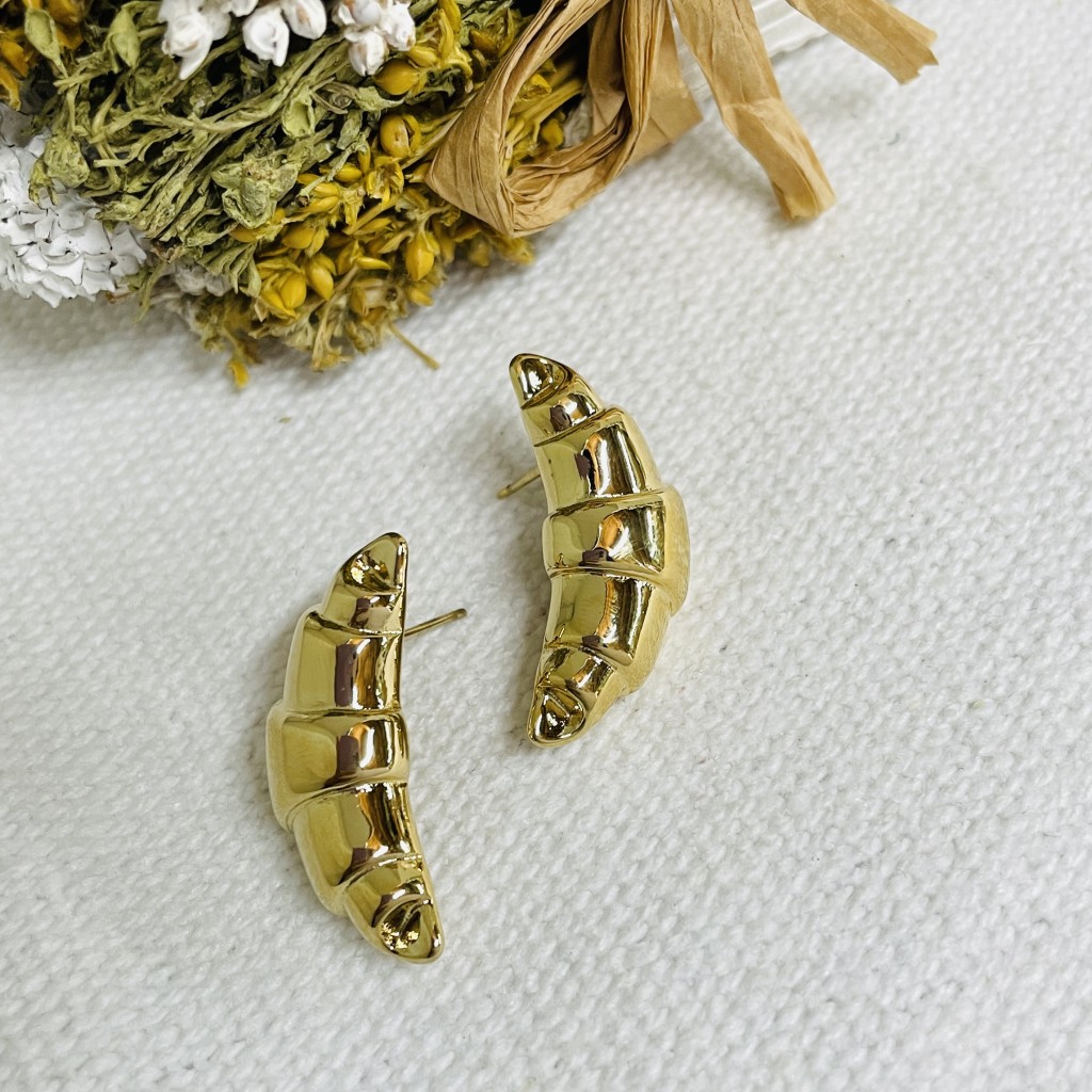 Stainless steel earrings