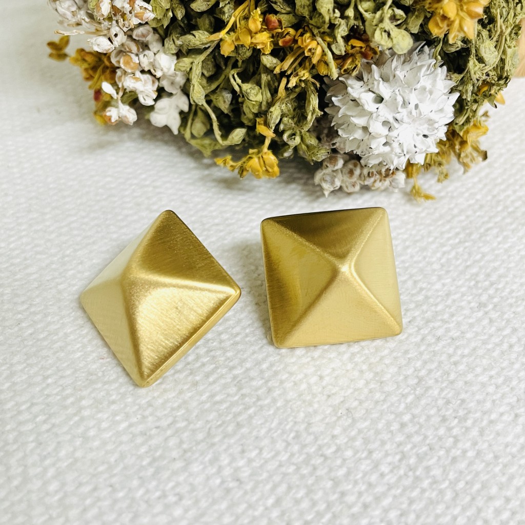 Stainless steel earrings