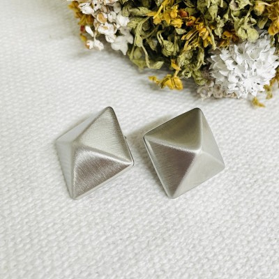 Stainless steel earrings