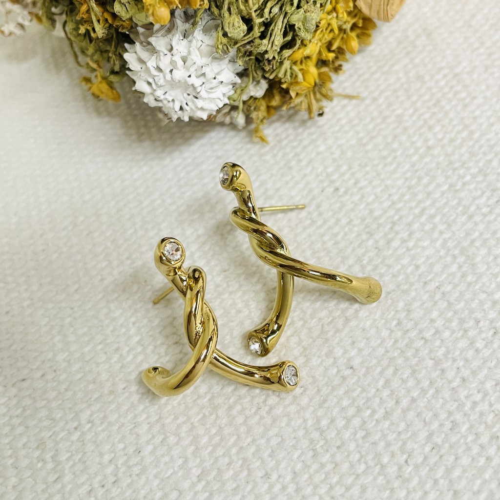 Stainless steel earrings