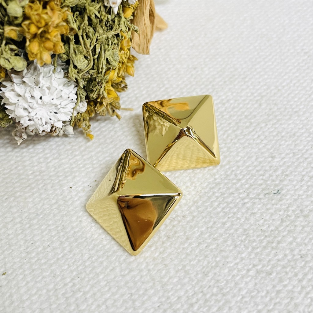 Stainless steel earrings