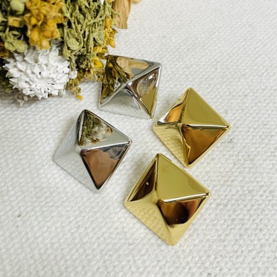 Stainless steel earrings
